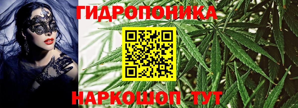 Шишки марихуана White Widow  Шишки марихуана Amnesia  Вход с VPN  Бошки Шишки OG Kush  Реутов  Бошки марихуана AK-47 